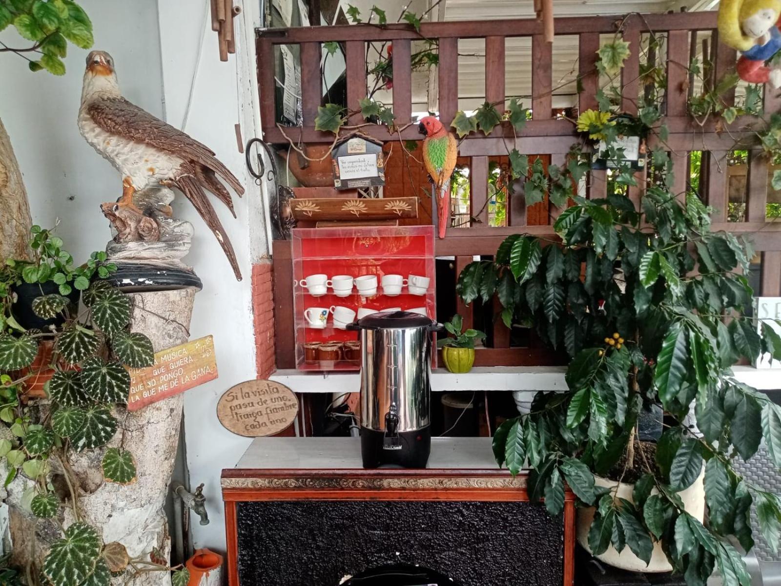 Finca El Recreo - El Descanso 蒙特内哥罗 外观 照片